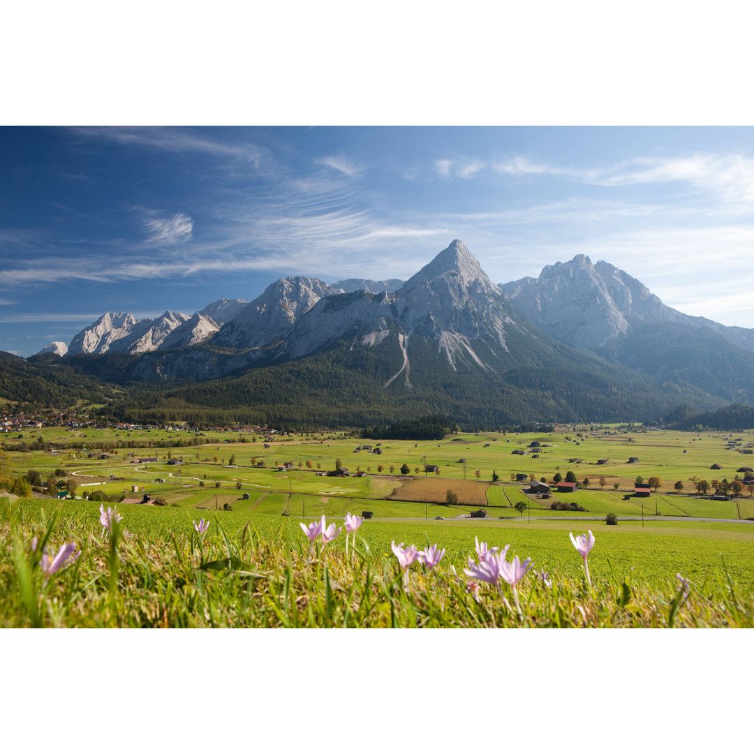 Sommerwiese bei Ehrwald von Wingmar - Leinwandbild