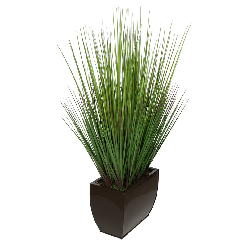 Herbe à feuillage 28 po en pot, Brun brillant