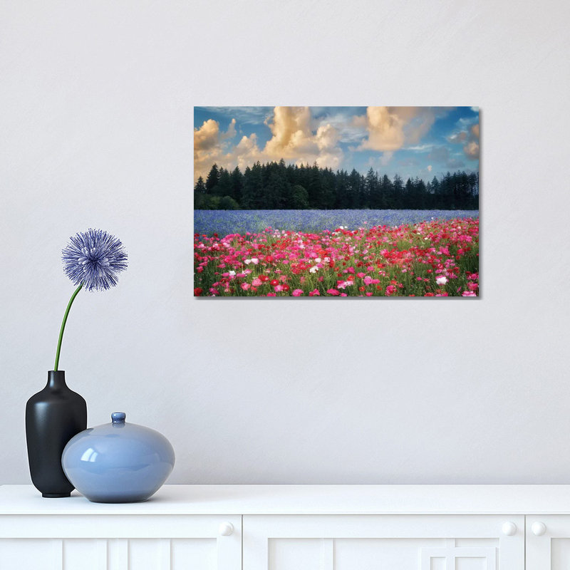Flower Field Sunrise I by Dennis Frates - Print on Canvas, Wrapped Canvas, 30.48cm H x 45.72cm W x 1.91cm D