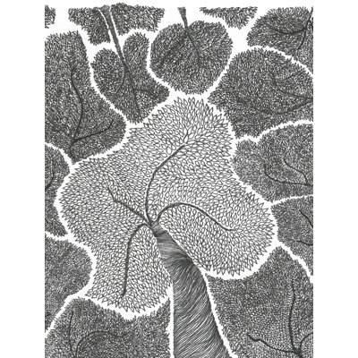Vous cherchez - Forêt | Encre sur papier | Par Shreya Gupta
