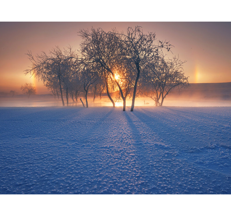 Wrapped Canvas Print, 50.8 cm H x 76.2 cm W