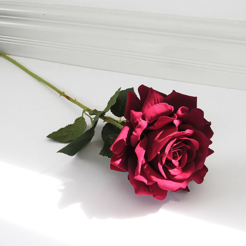 Grandes tiges roses en velours, Bourgogne
