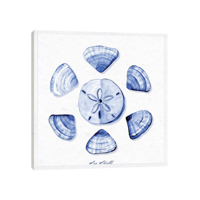 Shell Collection VII 1 Piece Painting on Canvas