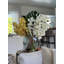 Moon Vase With Yellow Cymbidiums And White Vandas-1944920468