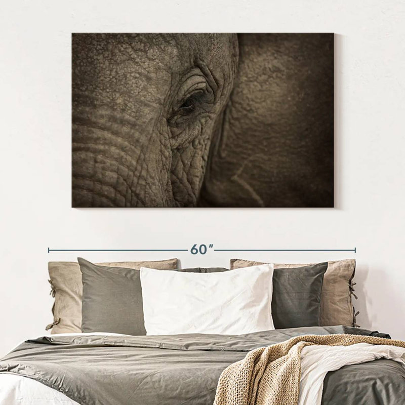 Brampt African Elephant Eye, 34" H x 51" W