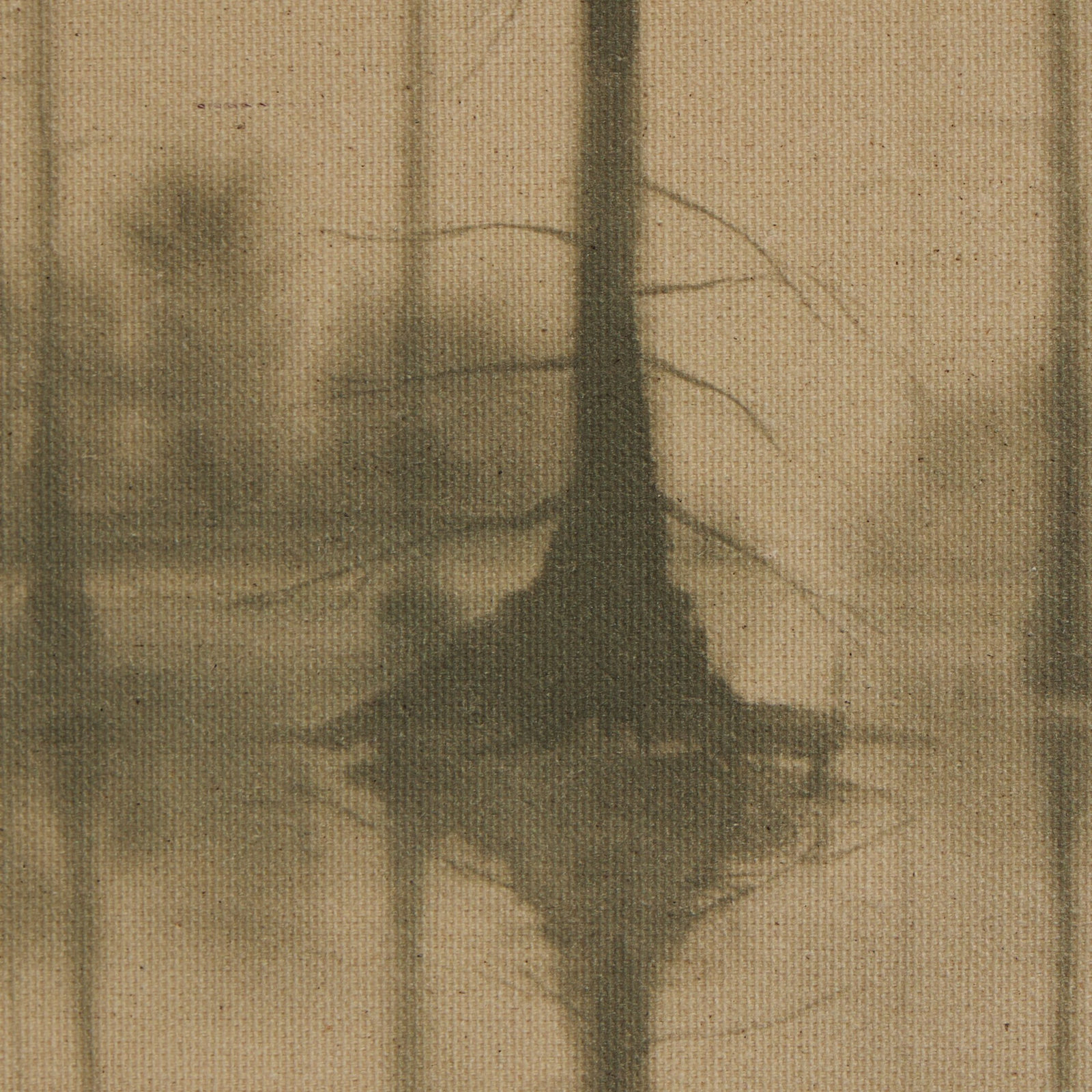 Reflection by Chelsea Fly, 18" H x 16.5" W