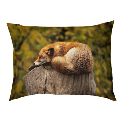 Coussin de lit pour l’extérieur pour le lit chat fox sleep Burien