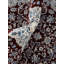 Oriental Area Rug-66628348