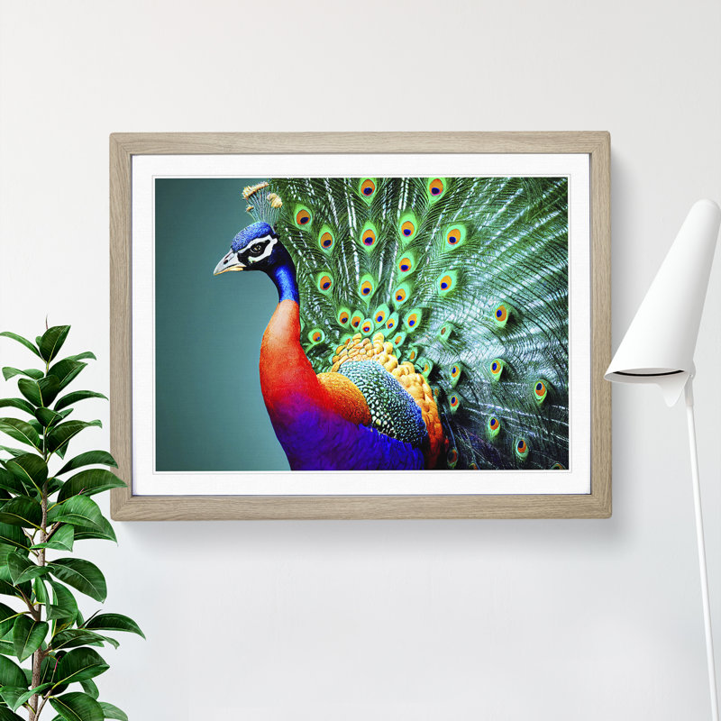 Blossoming Peacock - Single Picture Frame Print, 46cm H x 64cm W x 2cm D, Oak Framed