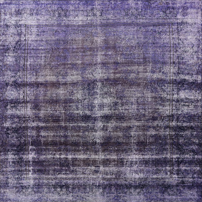 Oriental Indoor Rug