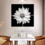 Harnek BW - marguerite blanche-109124884