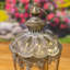 17,75 po Grand terrarium en fer / verre Bella Bella-131335645