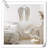 Hand Woven Cotton Tapestry