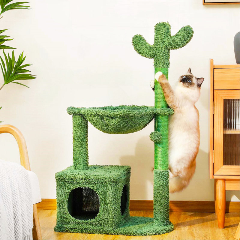 Grattoir à chat 4 en 1 Cactus