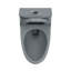 Toilette moderne une pièce à cuve allongée à double chasse 1,1 / 1,6 GPF en gris anthracite Reno (siège inclus)-97648760