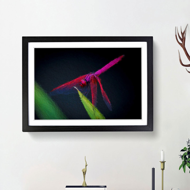 Dragonfly - Picture Frame Painting Print, 27cm H x 36cm W x 2cm D, Black Framed