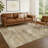 Machine Washable Indoor/Outdoor Earleville ACN2369 Abstract Rug-1094917139