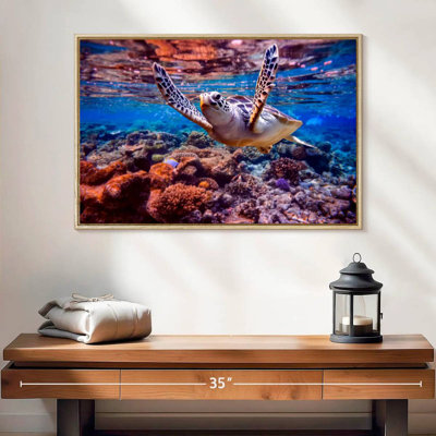 Sea Turtle Over Coral Reef