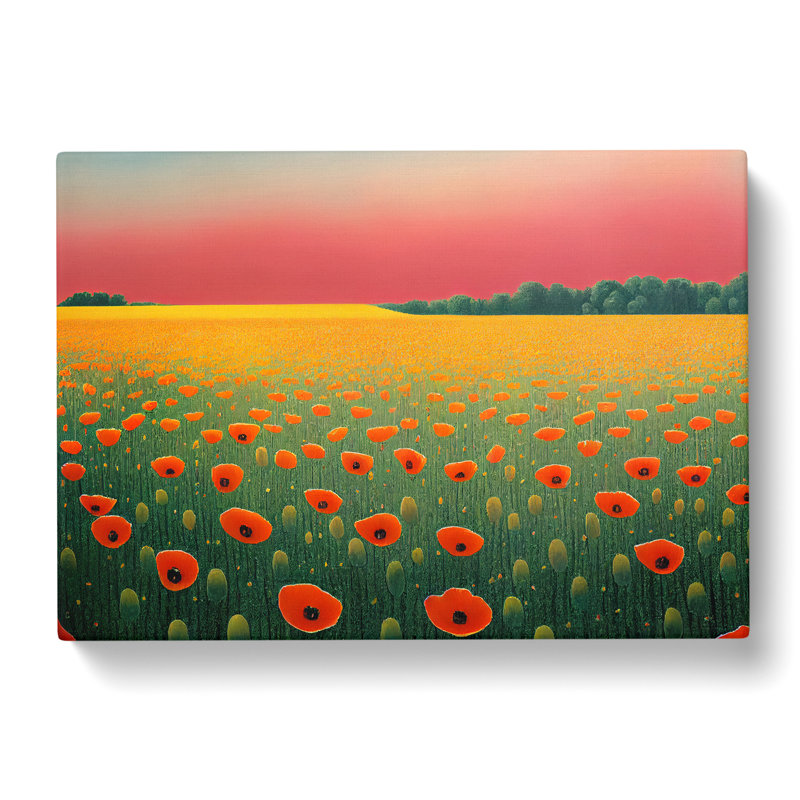 Soulful Poppy Field Flowers - Wrapped Canvas, 35cm H x 50cm W x 3cm D