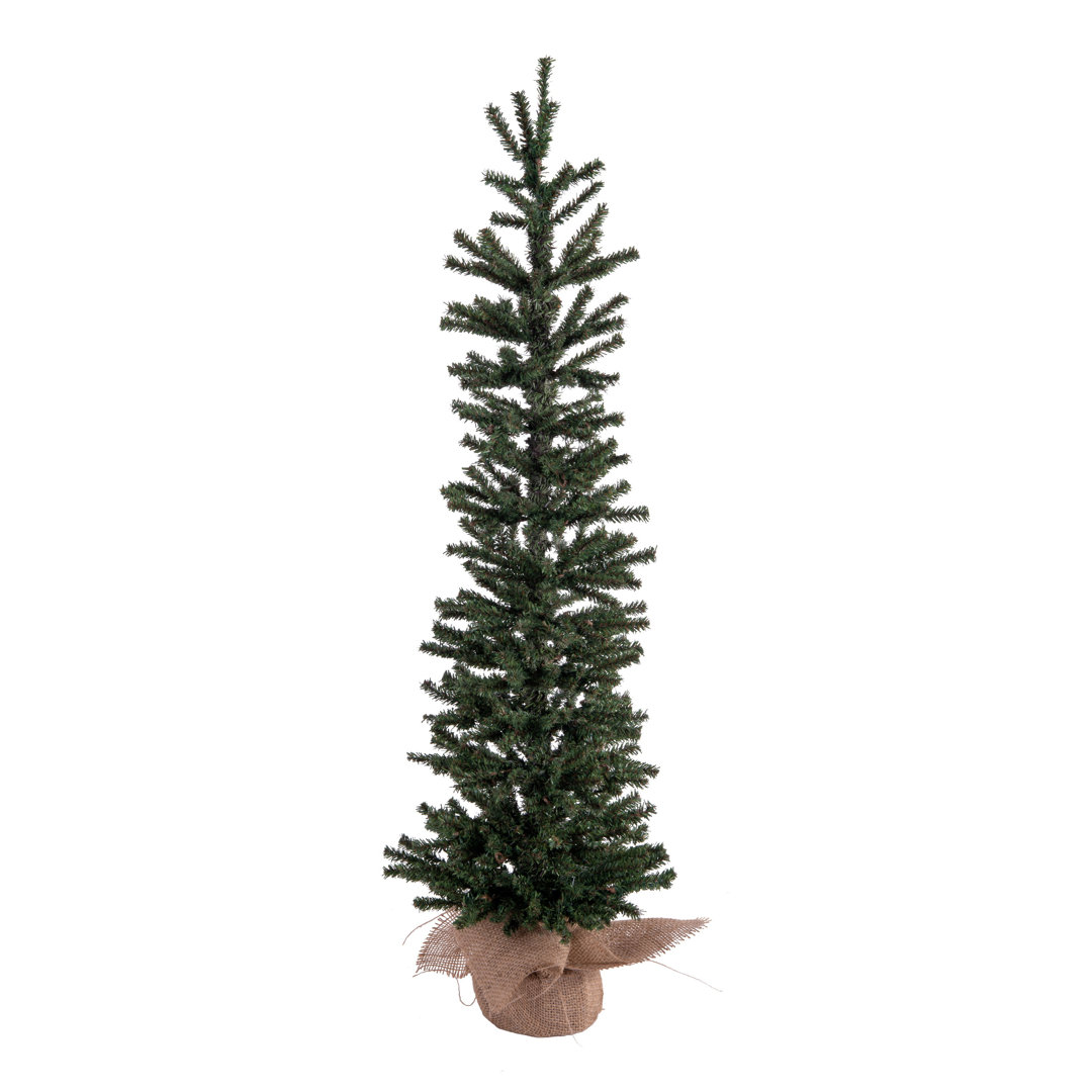 Mini Pine Tree 3' Pine Christmas Tree The Holiday Aisle®