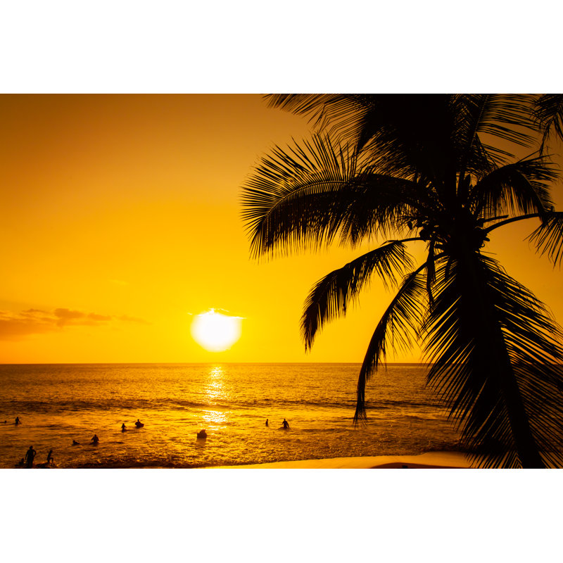 Tropical Sunset - Wrapped Canvas Print, 51cm H x 76cm W x 3.8cm D