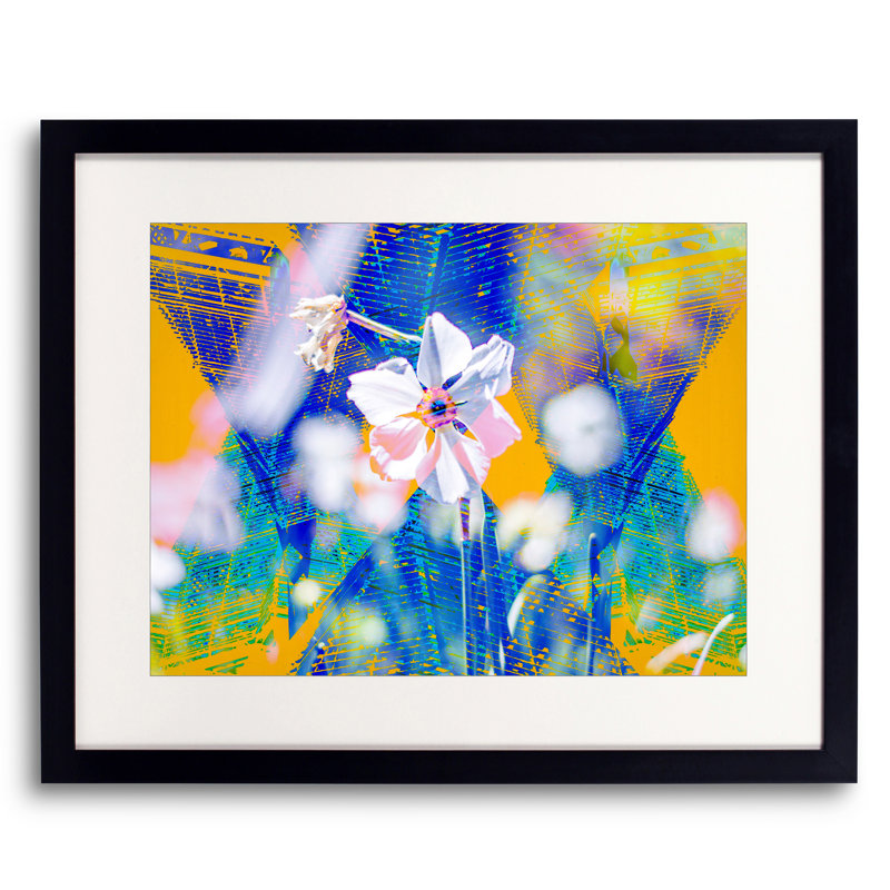 Flower Garden Print by Kevin Quinn, 24" H x 30" W
