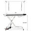 Table de toilettage électrique réglable en métal l 50 po x P 26 po