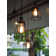 40 Watt Dimmable Nostalgic Edison Squirrel Cage-Style ST18 Light Bulb