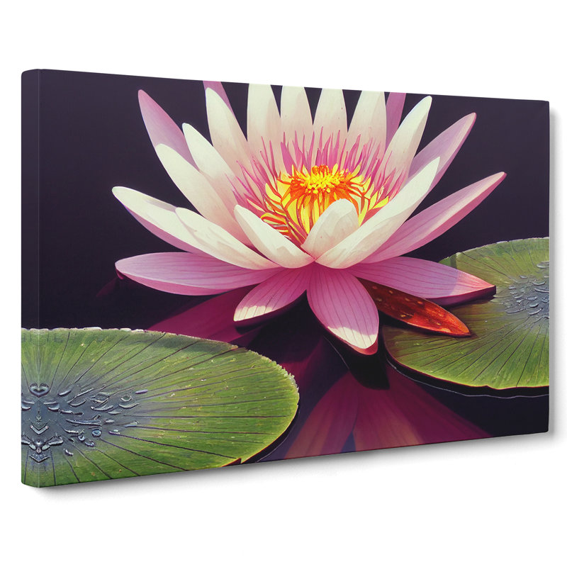 Charming Water Lily Flower - Wrapped Canvas, 50cm H x 76cm W x 3cm D