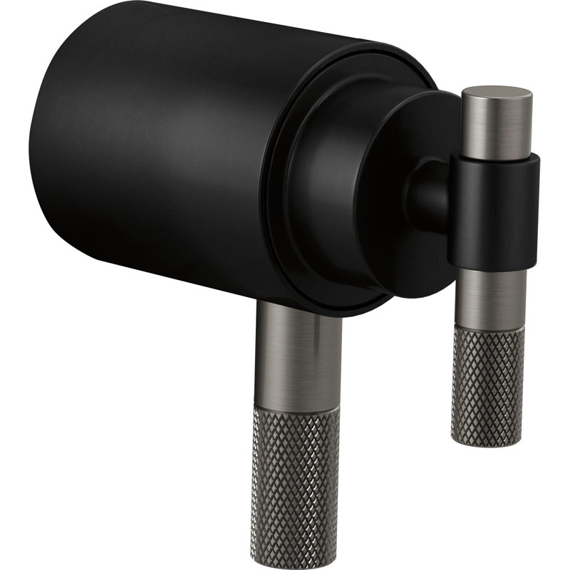Litze® TempAssure® Thermostatic Shower Only, Matte Black, T-Lever Handle with Stainless Steel