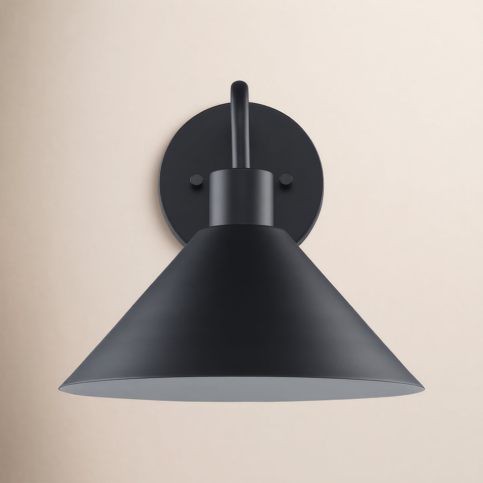 Fayra Single Light Spotlight Sconce, Black