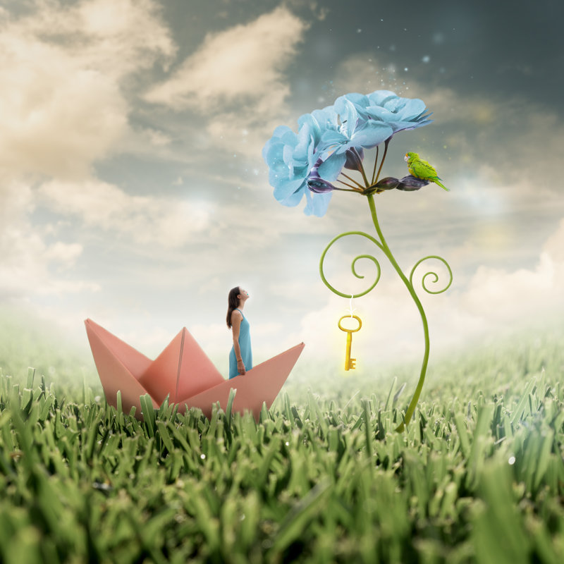 Photo Manipulation by LUMEZIA - Wrapped Canvas Print, 30cm H x 30cm W