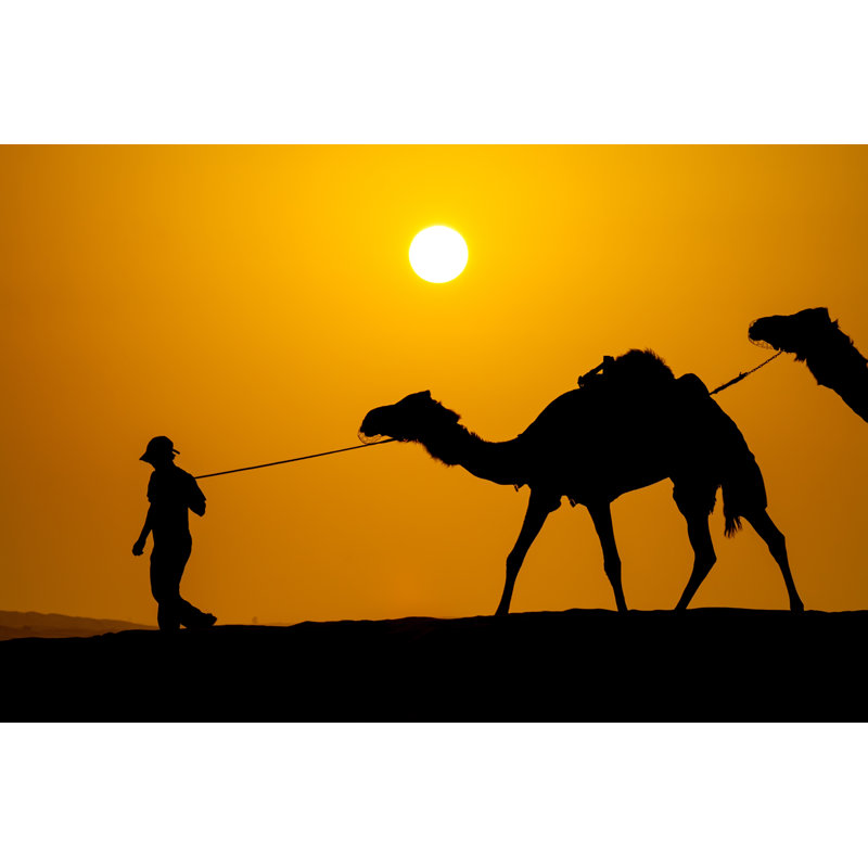 Silhouettes Of Men And Camels In A Desert by Savoskula_maria - Wrapped Canvas Print, 20cm H x 30cm W x 3.8cm D