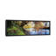Panoramic Trees Along a River, River Dart, Bickleigh, Mid Devon, Devon, England Photographic Print on Wrapped Canvas-1416791315-1354359511