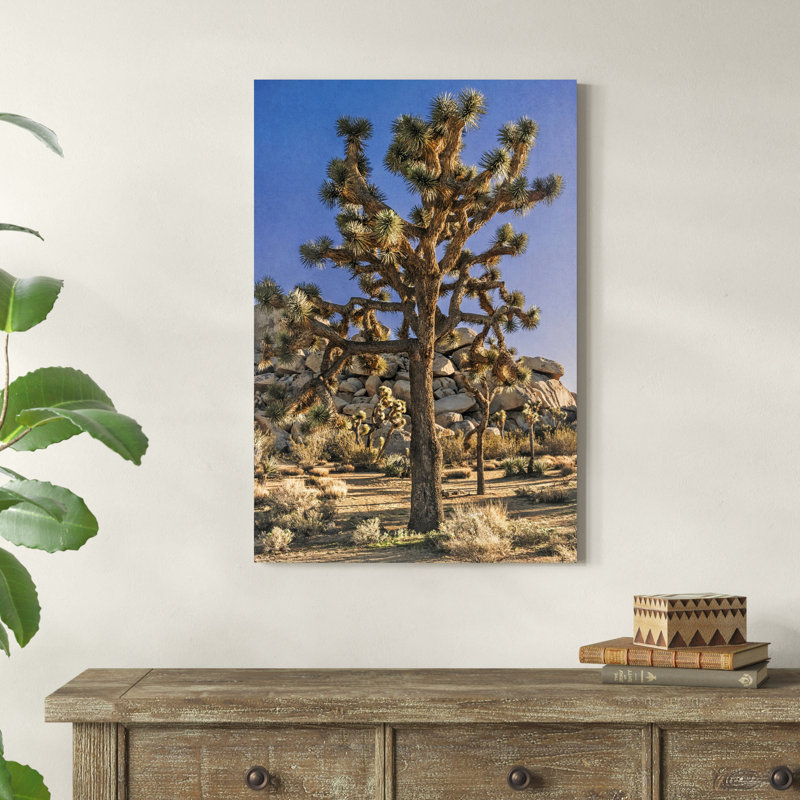 Vue de Joshua Tree II, H 36 po x l 24 po x P 1,25 po