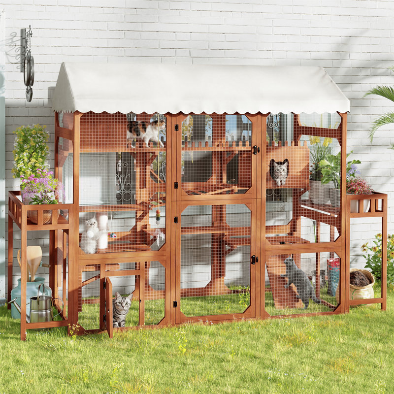 Grande cage d'extérieur en bois pour chat avec 2 supports à plantes, Brun