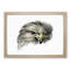 Bird of Prey by Jean Bernard - Picture Frame Painting Print-55500960-55500961
