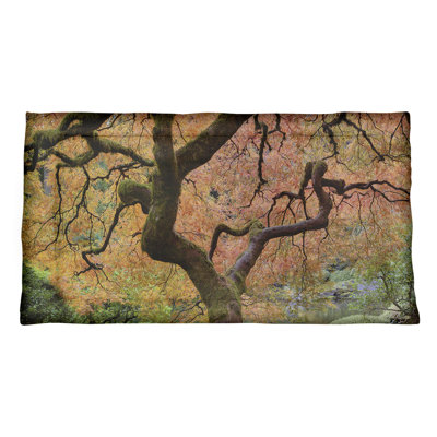 Justin Duane Solid Colour Sham Set