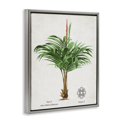 Cadre flottant Natural Palm