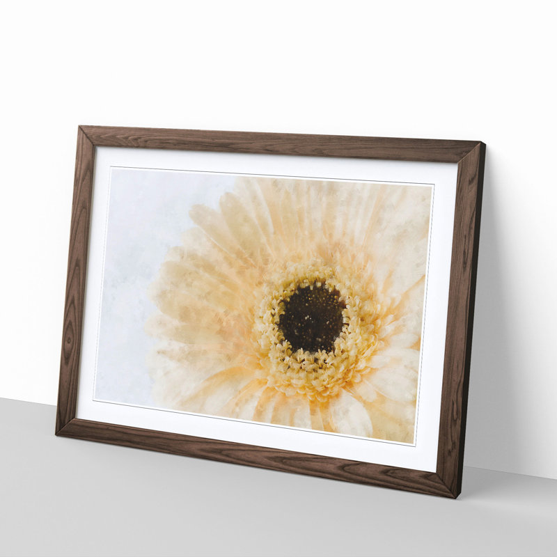 Pale Yellow Gerbera - Single Picture Frame Print on MDF, 24cm H x 33cm W x 2cm D, Walnut