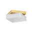 BROCKTON 1 LIGHT FLUSH MOUNT