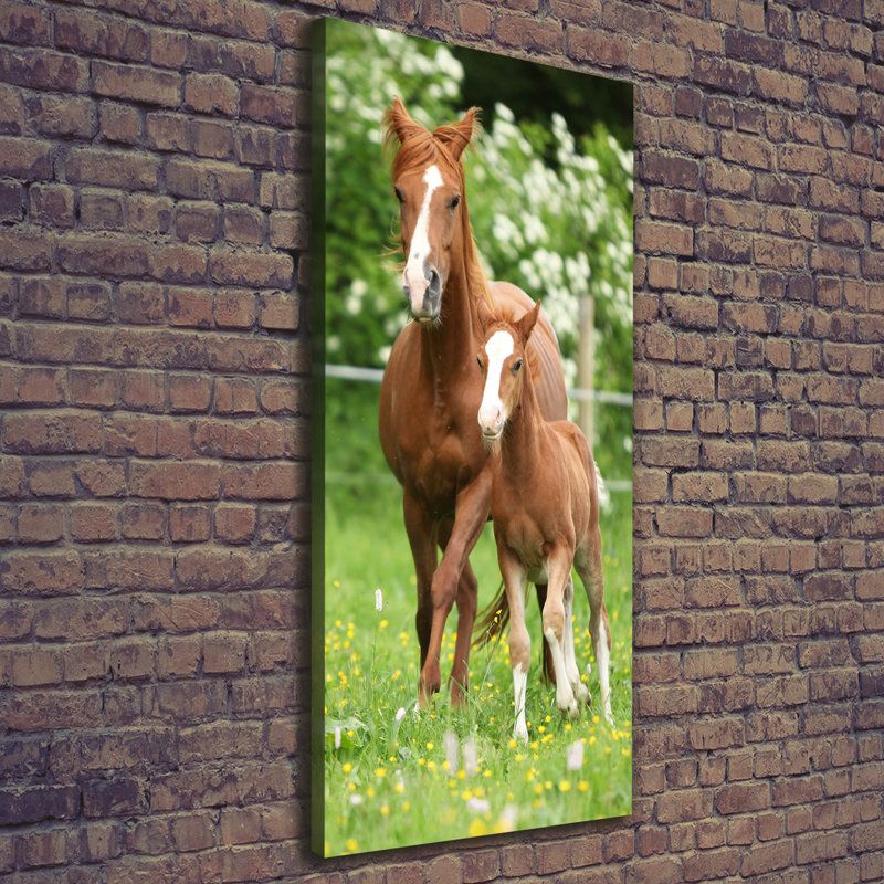 Mare And Foal - Wrapped Canvas Print