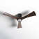 Irene LED Ceiling Fan