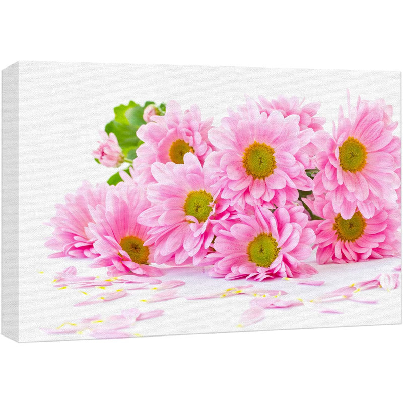Flower Blossom «Neon Pink Vibrant Gerbera Daisy Flowers» sur, H 24 po x l 36 po