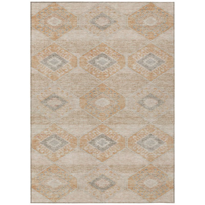 Machine Washable Indoor/Outdoor Xhevrie Copper Rug