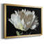 Blanc pivoine-509342702-509342703