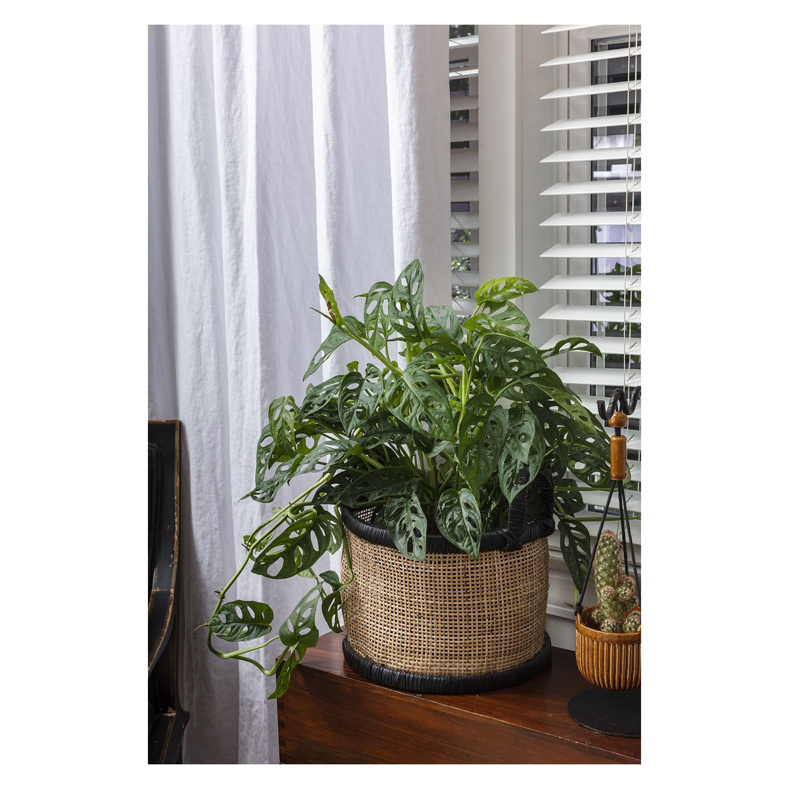 Bolivar Pot Planter - Set of 2, Brown/Black