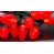 Rouge sélectionné