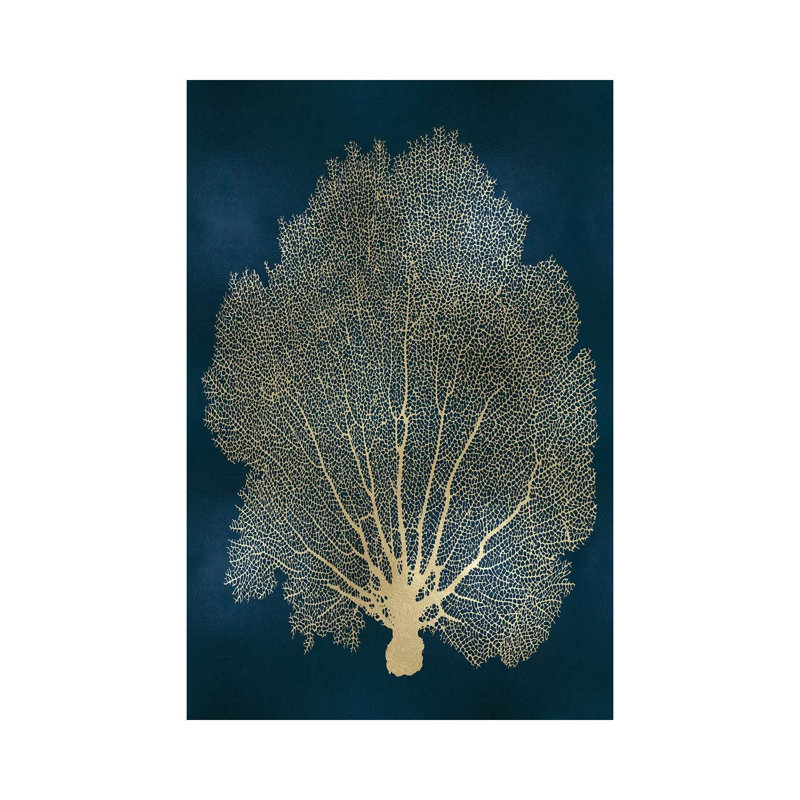 Sea Fan II by Melonie Miller - Print on Canvas, 66.04cm H x 45.72cm W x 3.81cm D, Wrapped Canvas
