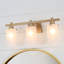 3 - Light Dimmable Vanity Light